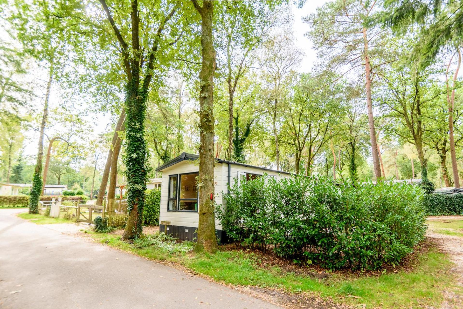 Veluwe Chalet Aan Het Bos - Kids - Pool - Dog Hoenderloo Kültér fotó